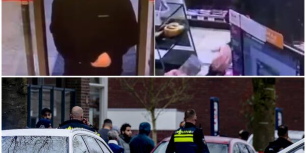 “Zweedse huurmoordenaars in Brabant: perfect voorbereid – maar verraden door één domme fout”