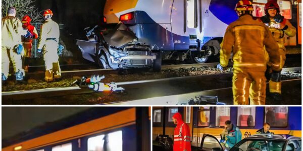 TRAGISCH ONGEVAL - Trein botst op auto bij Tilburg Reeshof: machinist zwaargewond, treinverkeer urenlang stilgelegd