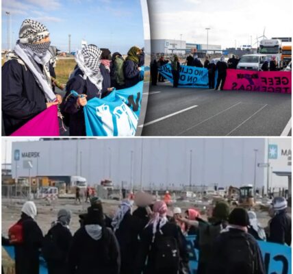 Vrachtwagenchauffeur mept havenblokkeerders van de weg.