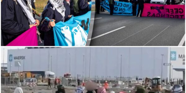 Vrachtwagenchauffeur mept havenblokkeerders van de weg.