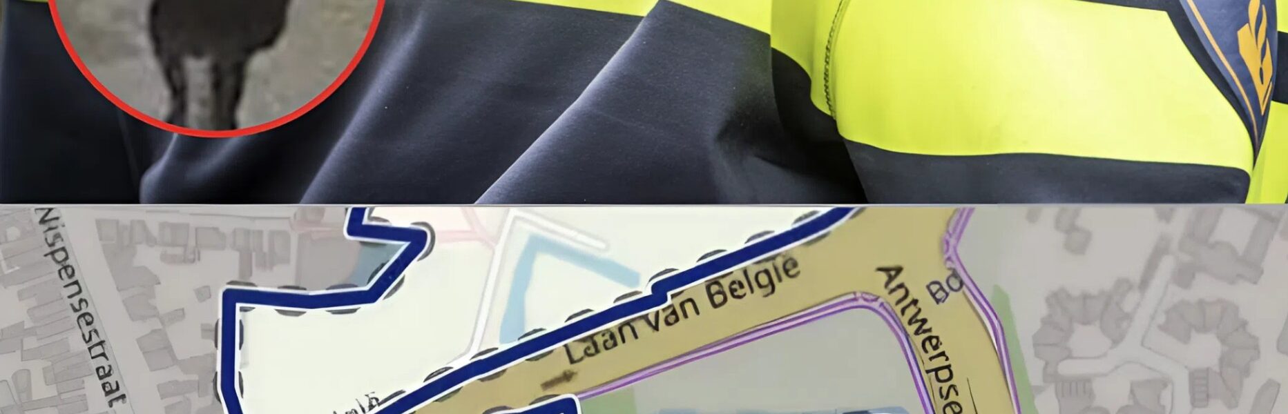 Roosendaler (47) overleden na geweld — politie zoekt verdachte met volgende kenmerken