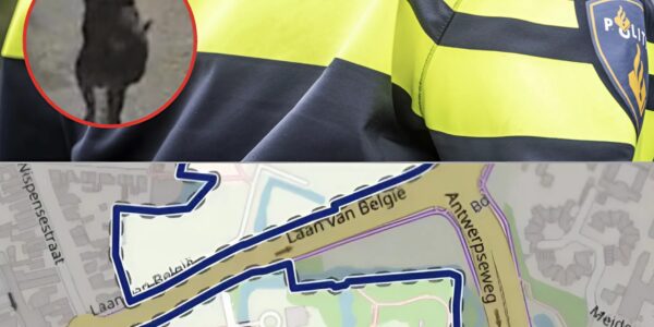 Roosendaler (47) overleden na geweld — politie zoekt verdachte met volgende kenmerken