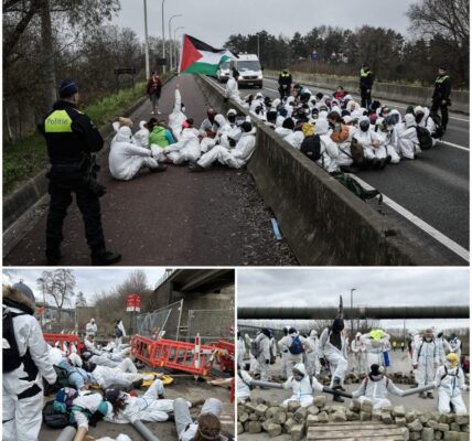 Antwerpse haven ‘helpt genocide’? Code Rood lanceert grootschalige actie en dreigt hele logistieke reus plat te leggen.
