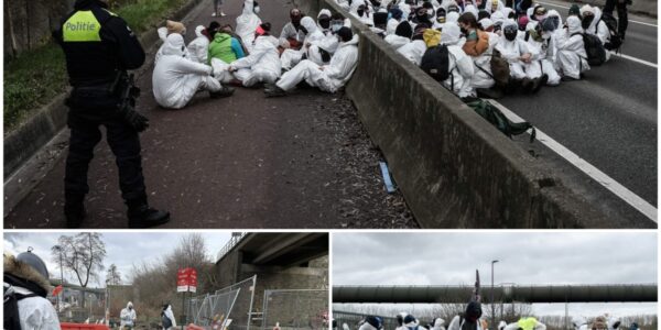 Antwerpse haven ‘helpt genocide’? Code Rood lanceert grootschalige actie en dreigt hele logistieke reus plat te leggen.