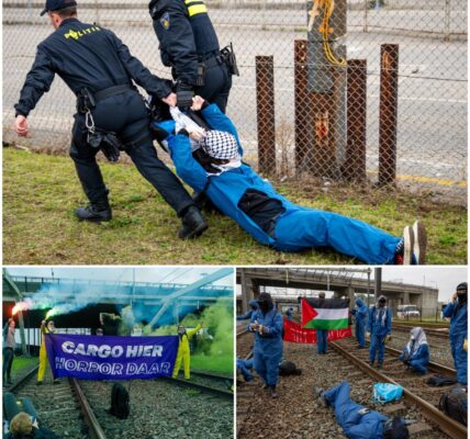 Actievoerders blokkeren havenspoorlijn: eerste aanhoudingen verricht