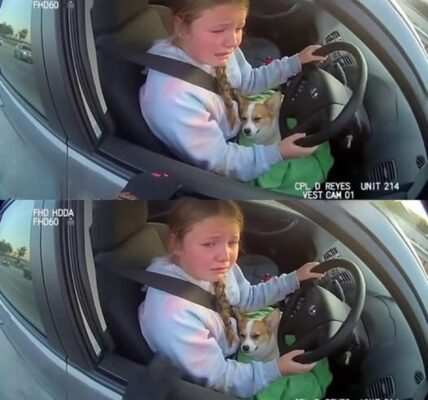 Ze is pas 12, maar deed wat geen volwassene durfde – allemaal om haar puppy te redden