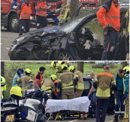 “Harde klap op de Rijksweg – Auto vouwt zich om boom in Moordrecht, bestuurder vecht voor zijn leven”