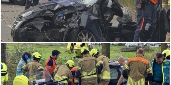 “Harde klap op de Rijksweg – Auto vouwt zich om boom in Moordrecht, bestuurder vecht voor zijn leven”
