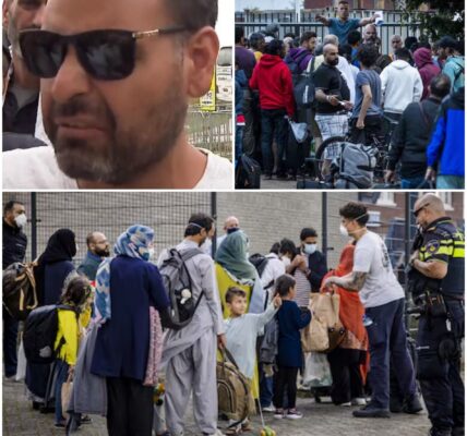 Boze asielzoekers ontevreden in Nederland: ”Zelfs een hond heeft het beter”