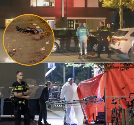 Steekpartij in woning Son- drie gewonden, politie onthult gruwelijk motief achter aanval