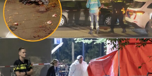 Steekpartij in woning Son- drie gewonden, politie onthult gruwelijk motief achter aanval