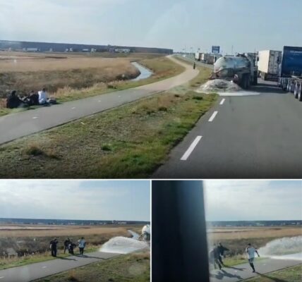 VIDEO: Boze boer neemt wraak op klimaatactivisten op de Maasvlakte bij Rotterdam