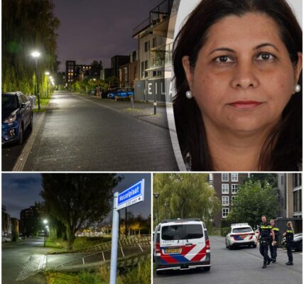NET BINNEN: Schokkende details naar buiten gebracht over ontvoerde vrouw (49) uit Hoofddorp