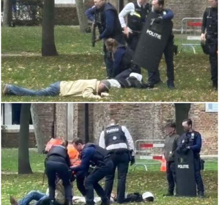 Opschudding op klaarlichte dag in Blankenberge: politie arresteert met getrokken wapens drie mannen