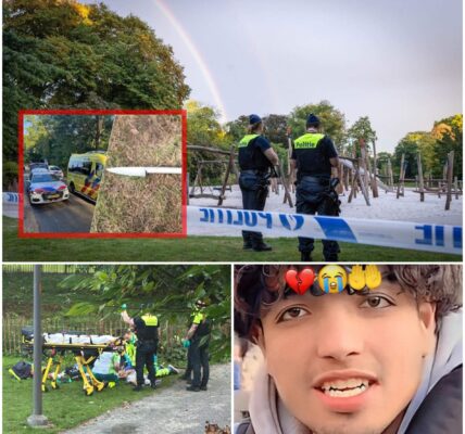 Samir (18) overleden bij steekpartij in Stadspark: vier verdachten opgepakt
