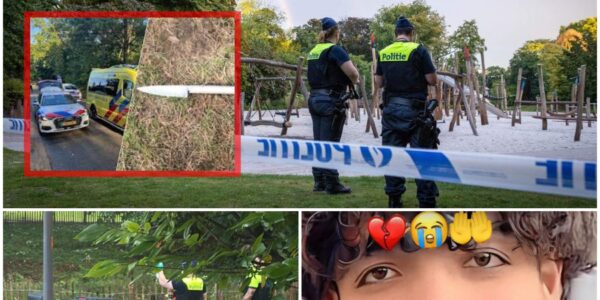 Samir (18) overleden bij steekpartij in Stadspark: vier verdachten opgepakt