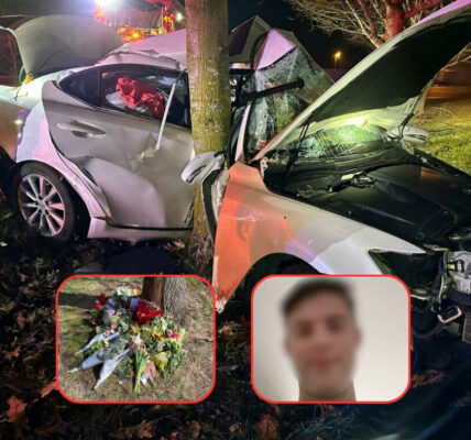 Jongen (17) verongelukt op N284 zonder rijbewijs — automobilist slipte en botste tegen boom