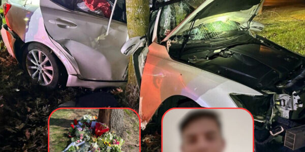 Jongen (17) verongelukt op N284 zonder rijbewijs — automobilist slipte en botste tegen boom