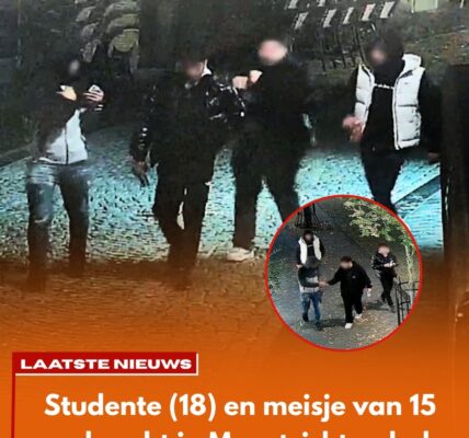 Justitie: studente in Maastricht verkracht door drie Syrische mannen, één verkrachtte nog ander meisje