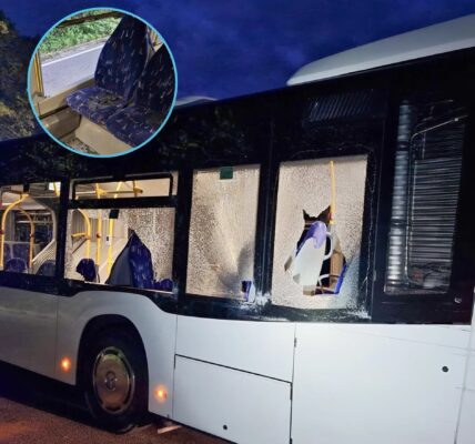 Unfall auf der Landstraße: Drei zersprungene Scheiben verhinderten eine schlimme Katastrophe!👇