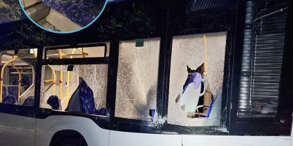 Unfall auf der Landstraße: Drei zersprungene Scheiben verhinderten eine schlimme Katastrophe!👇