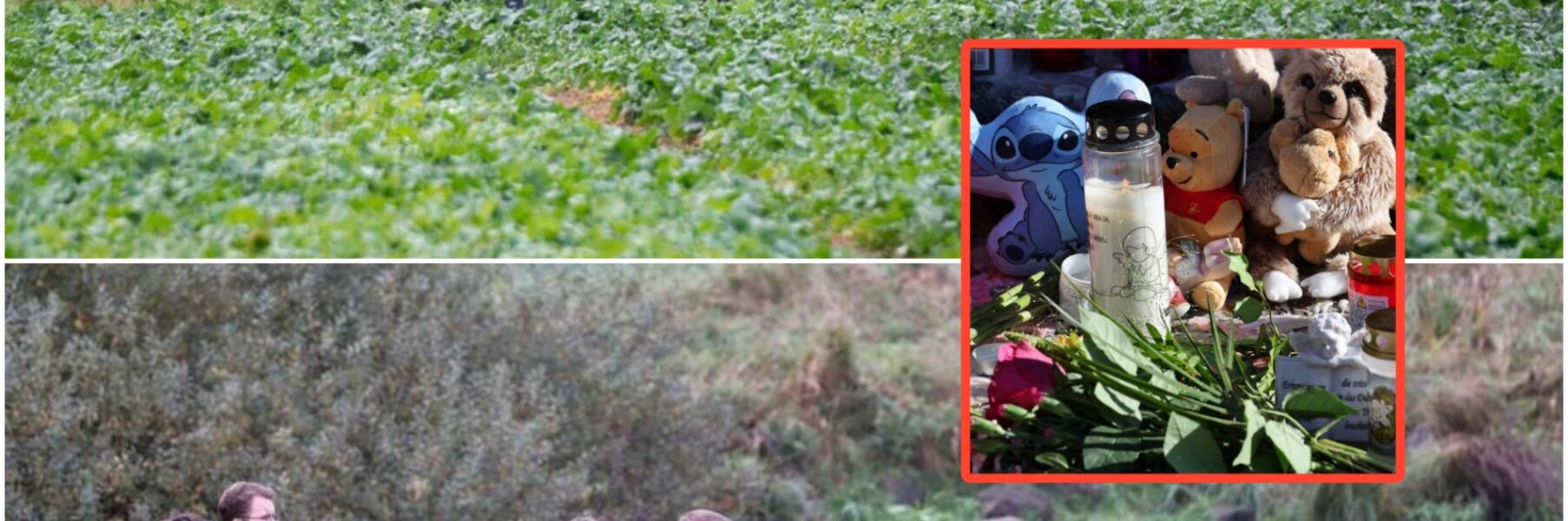 Tragisch: Obduktion von Fabian (†8) in Gustrow zeigt: Der Junge war offenbar Gewalt ausgesetzt! Ganze Story