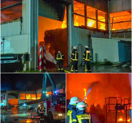 Feuer-Hölle in Hambuhren! 200 Tonnen Altpapier in Flammen – Nacht erleuchtet, Rauchwolken kilometerweit sichtbar, Feuerwehr im Dauereinsatz!