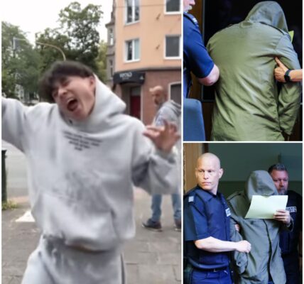 Deutschland: Vietnamesischer Student nach Hasskommentaren uber Menschen mit Behinderungen abgeschoben