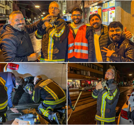 Heimlicher Mitfahrer auf 240 Kilometern: Katze uberlebt Flug im Radkasten von Hannover nach Bochum