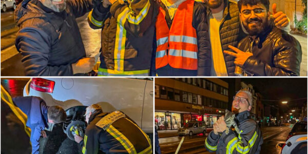 Heimlicher Mitfahrer auf 240 Kilometern: Katze uberlebt Flug im Radkasten von Hannover nach Bochum