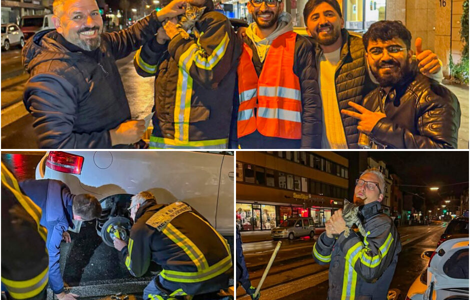 Heimlicher Mitfahrer auf 240 Kilometern: Katze uberlebt Flug im Radkasten von Hannover nach Bochum