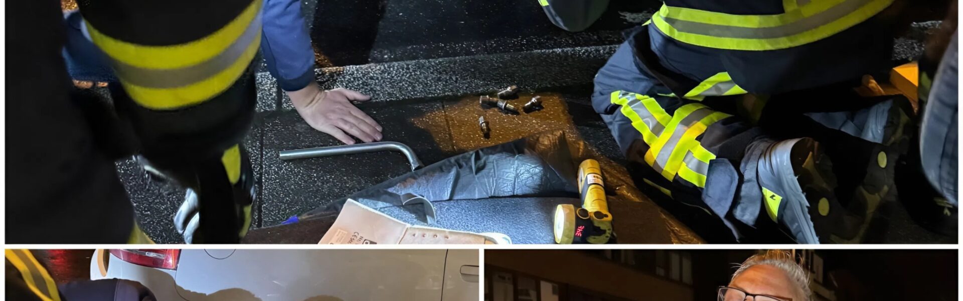 Von Hannover bis Bochum: Wie eine kleine Katze 240 km „heimlich mitfuhr“