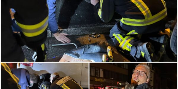 Von Hannover bis Bochum: Wie eine kleine Katze 240 km „heimlich mitfuhr“