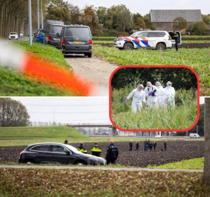 Het lichaam "viel uit de lucht"? Vreemd incident nabij het grootste vliegveld van Nederland zorgde voor opschudding