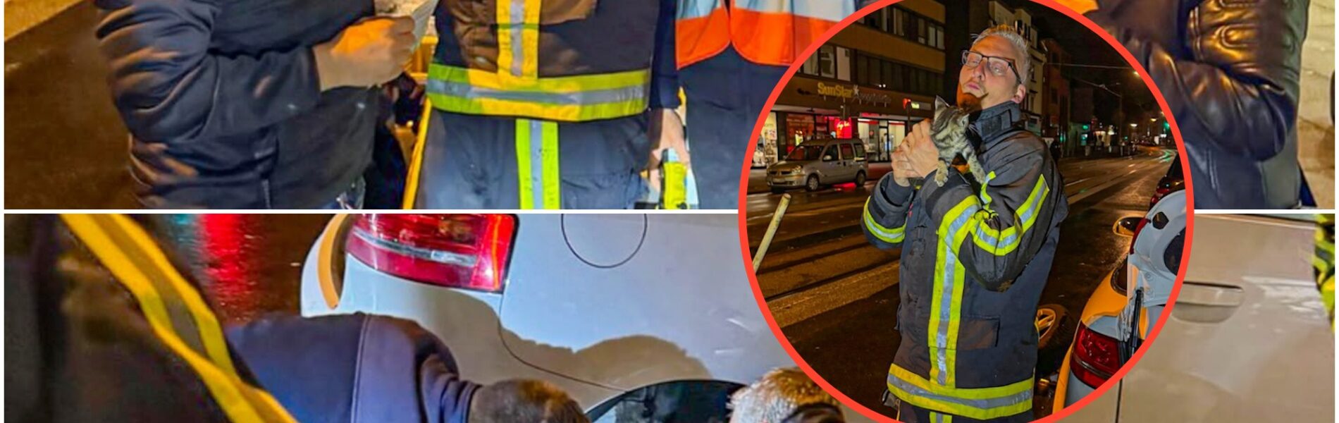 Unglaubliche Rettung: Katze reist 240 km versteckt im Auto – was sie uberlebt hat, ruhrt alle zu Tränen!