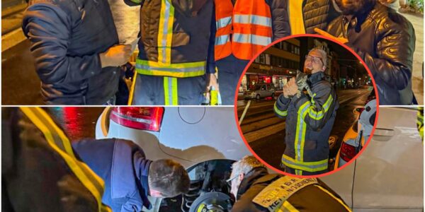 Unglaubliche Rettung: Katze reist 240 km versteckt im Auto – was sie uberlebt hat, ruhrt alle zu Tränen!