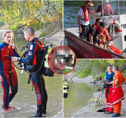 Großangelegte Suche endet tragisch – 26-jähriger Student aus Passau tot in der Donau gefunden
