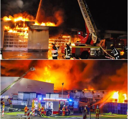 🚨 Großbrand in Sinsheim-Weiler: Zwei Lagerhallen zerstört – Wohngebäude schwer betroffen