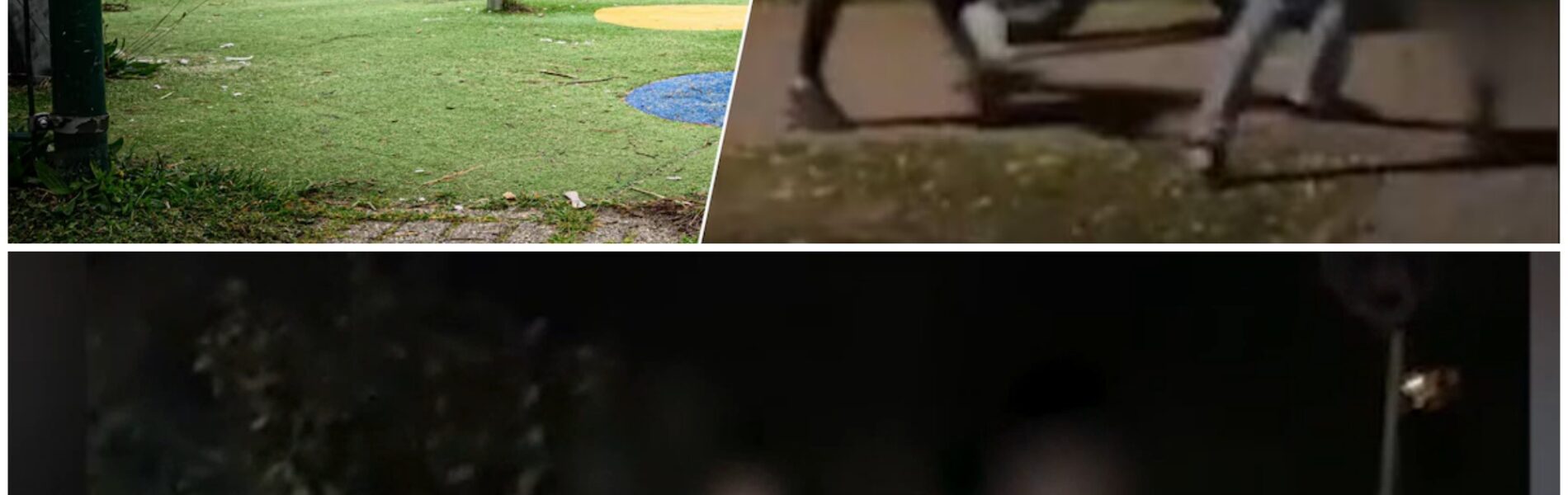 Vrouw mishandeld na kritiek op vuurwerk: politie onderzoekt mogelijke rol van extreemrechtse groep