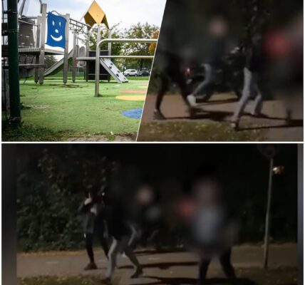 Vrouw mishandeld na kritiek op vuurwerk: politie onderzoekt mogelijke rol van extreemrechtse groep