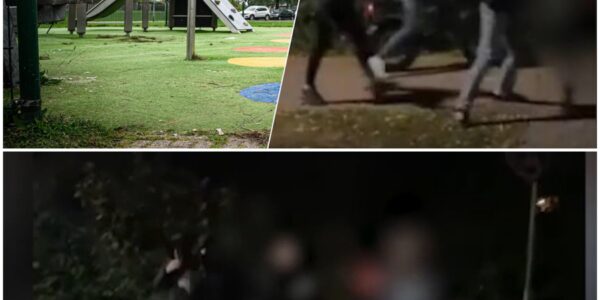 Vrouw mishandeld na kritiek op vuurwerk: politie onderzoekt mogelijke rol van extreemrechtse groep