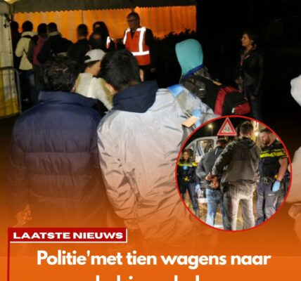Twee gewonden bij steekpartij in azc Oisterwijk – één verdachte aangehouden, politie onderzoekt toedracht
