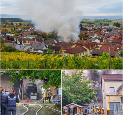 🔥Feuer-Hölle in Sinsheim! Zwei Scheunen völlig zerstört – Flammen bedrohten Wohnhäuser, Anwohner in Panik! Was die Ursache war, schockiert alle