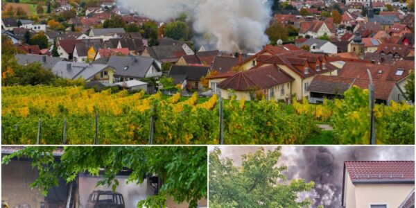 🔥Feuer-Hölle in Sinsheim! Zwei Scheunen völlig zerstört – Flammen bedrohten Wohnhäuser, Anwohner in Panik! Was die Ursache war, schockiert alle