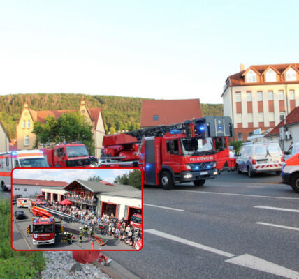 Feuerdrama wegen eines Käfers: 20-Jähriger setzt beim Insektenjagen seine Wohnung in Brand