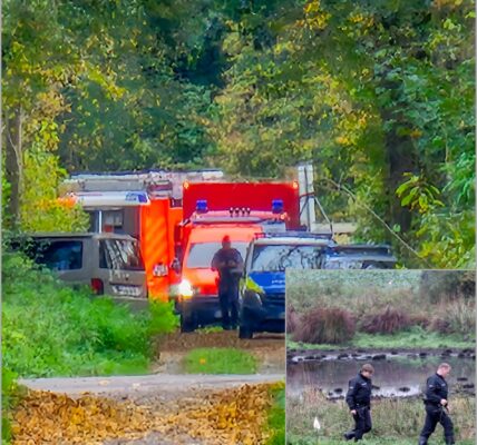 Geheimnis im Rintheimer Wald: Rätselhafter Tod des vermissten KIT-Wissenschaftlers 👇