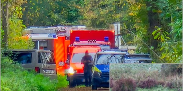 Geheimnis im Rintheimer Wald: Rätselhafter Tod des vermissten KIT-Wissenschaftlers 👇