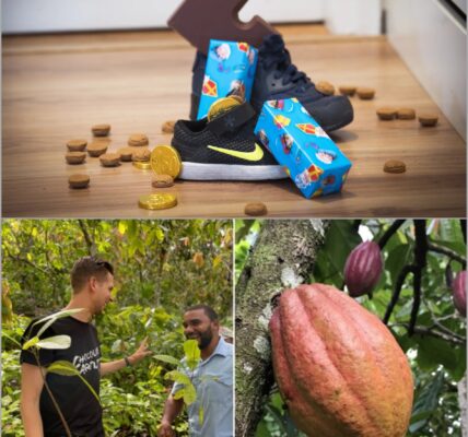 Prijzen rijzen de pan uit: Sinterklaas-snoepgoed flink duurder door cacao-crisis 👇
