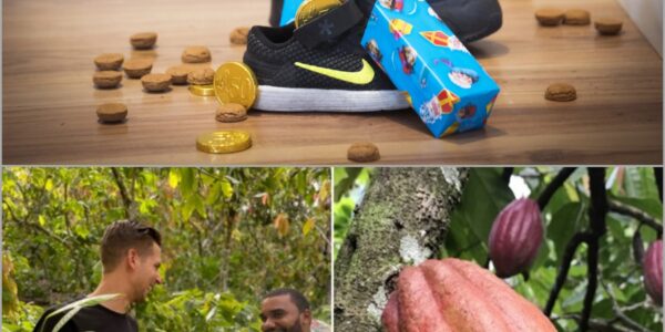 Prijzen rijzen de pan uit: Sinterklaas-snoepgoed flink duurder door cacao-crisis 👇