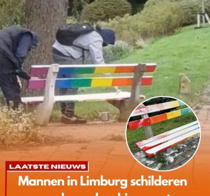 Een paar gasten in Limburg zijn duidelijk niet blij met dit regenboogbankje in het park: 'Niet onze kinderen verzouwen!'
